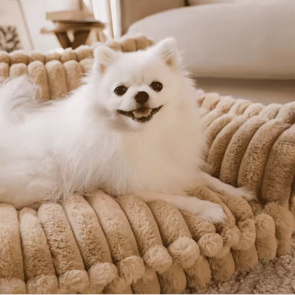Orthopedic Dog Bed with Elevated Headrest