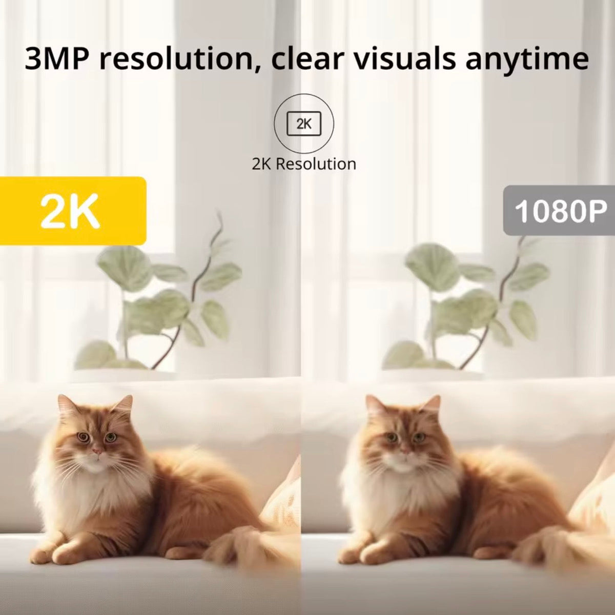 Smart Indoor Pet Camera for Peace of Mind