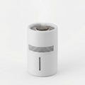 4L Mist-Free Humidifier for Pet Homes | HEPA Filter & Quiet Sleep Mode
