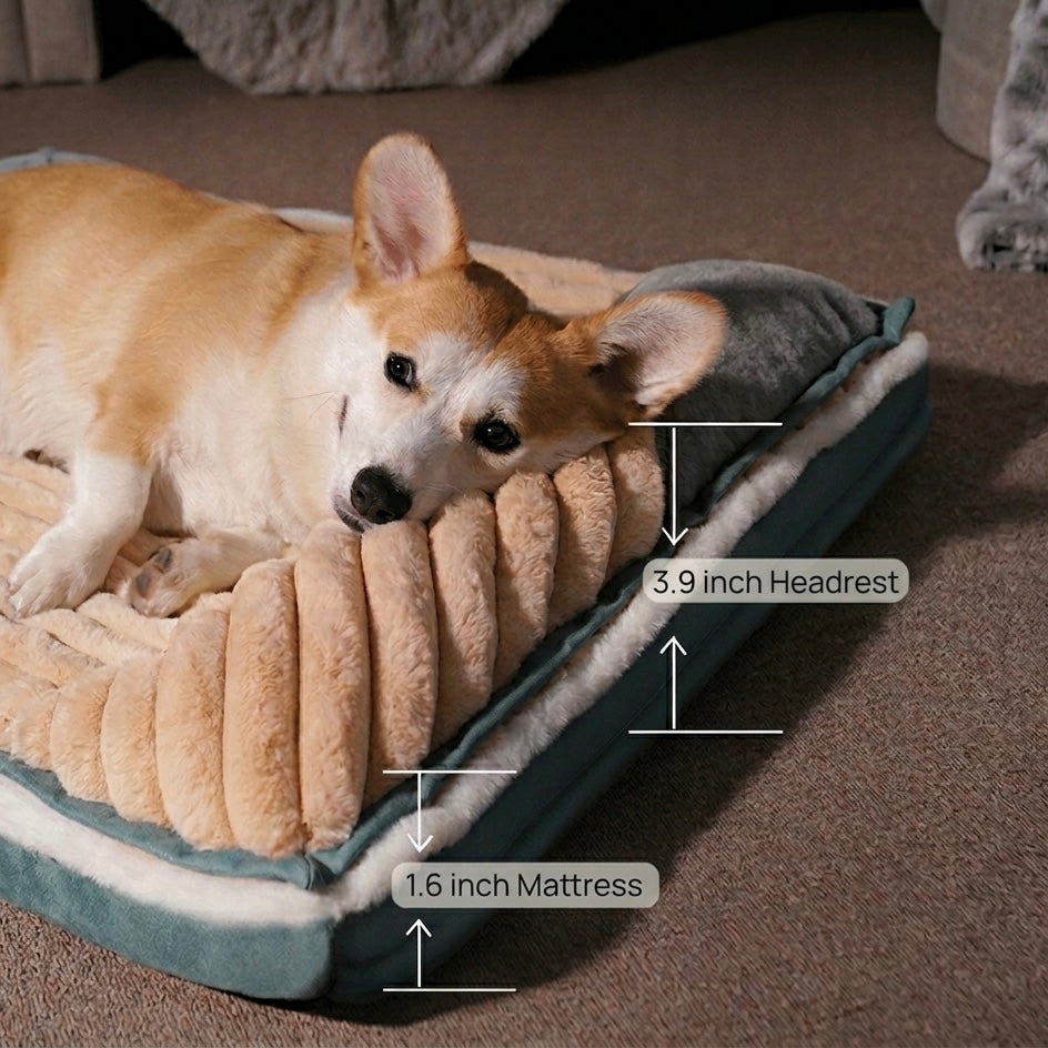 Memory Foam Dog Mat | Ergonomic Support & Removable Washable Cover