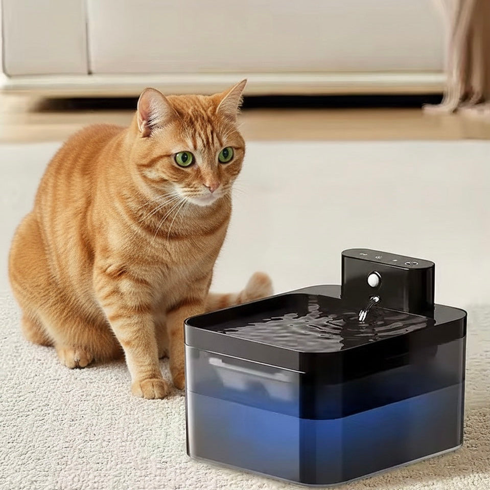 Cat Water Fountain That Encourages Hydration | 2.2L Quiet Sensor Pump