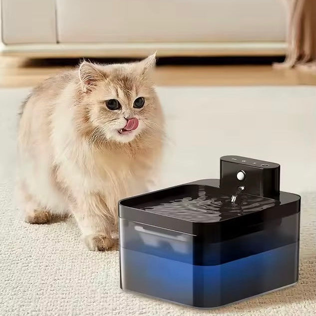 Cat Water Fountain That Encourages Hydration | 2.2L Quiet Sensor Pump