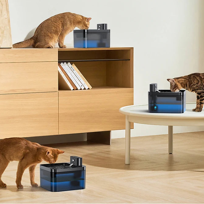 Cat Water Fountain That Encourages Hydration | 2.2L Quiet Sensor Pump