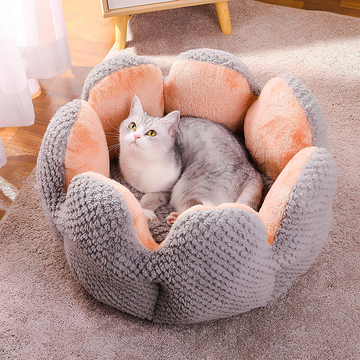Cactus Pet Bed | Soft Plush Enclosed Nest for Cats & Small Dogs