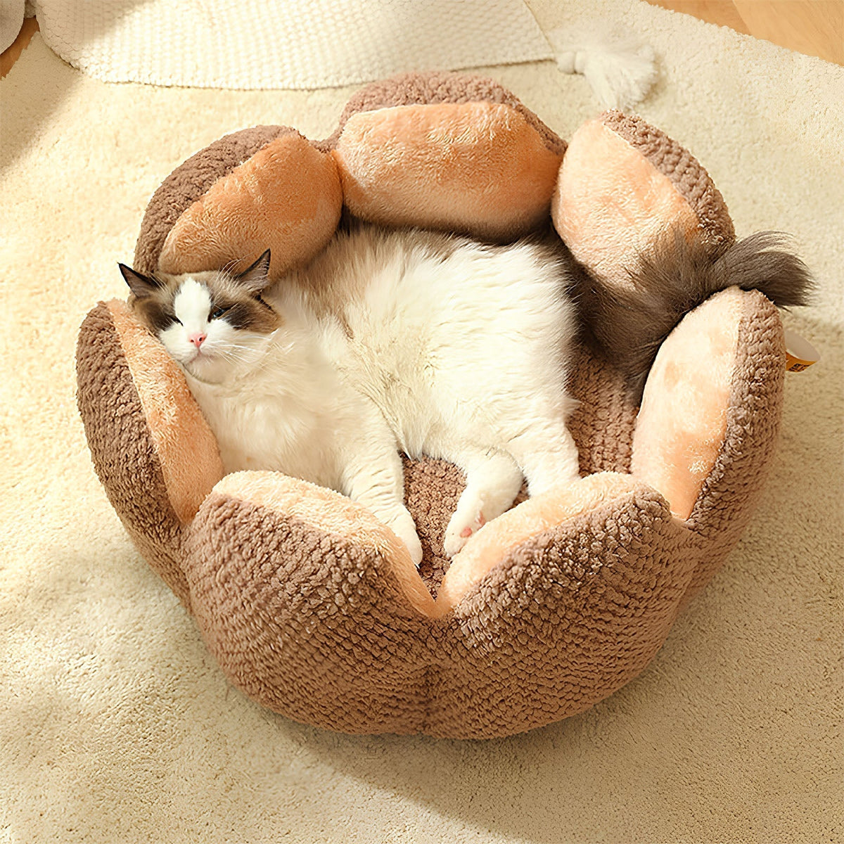 Cactus Pet Bed | Soft Plush Enclosed Nest for Cats & Small Dogs
