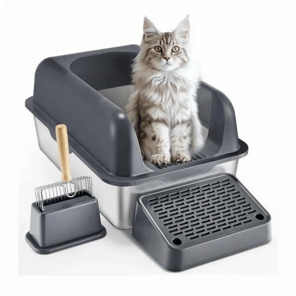 Extra-Large Cat Litter Box That Cuts Odor | High Sides & UV Fresh