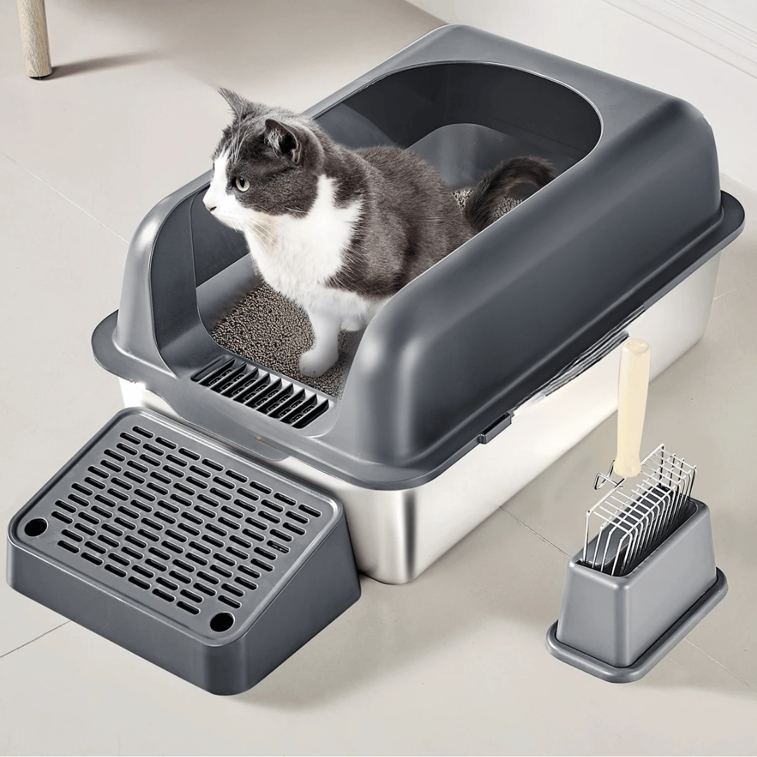 Extra-Large Cat Litter Box That Cuts Odor | High Sides & UV Fresh