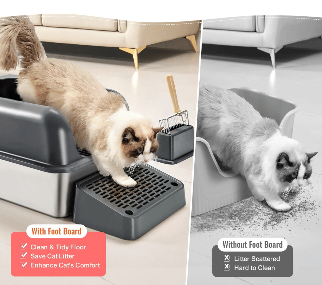 Extra-Large Cat Litter Box That Cuts Odor | High Sides & UV Fresh
