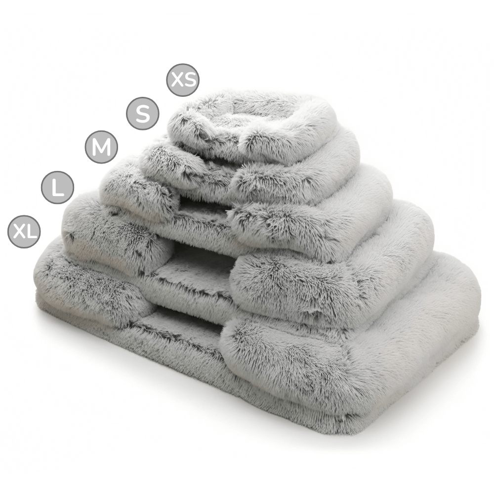 Orthopedic Dog Bed for Joint Relief | Bolster Foam Support