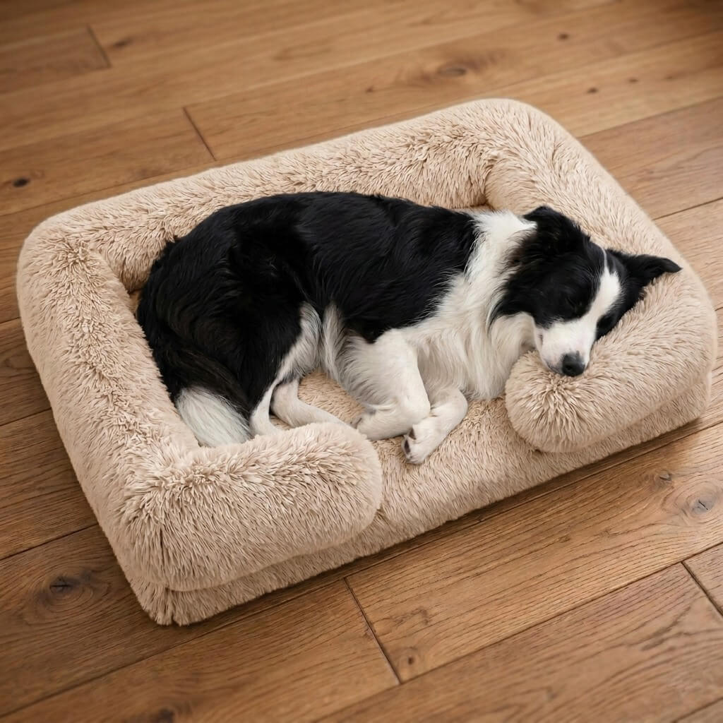 Orthopedic Dog Bed for Joint Relief | Bolster Foam Support