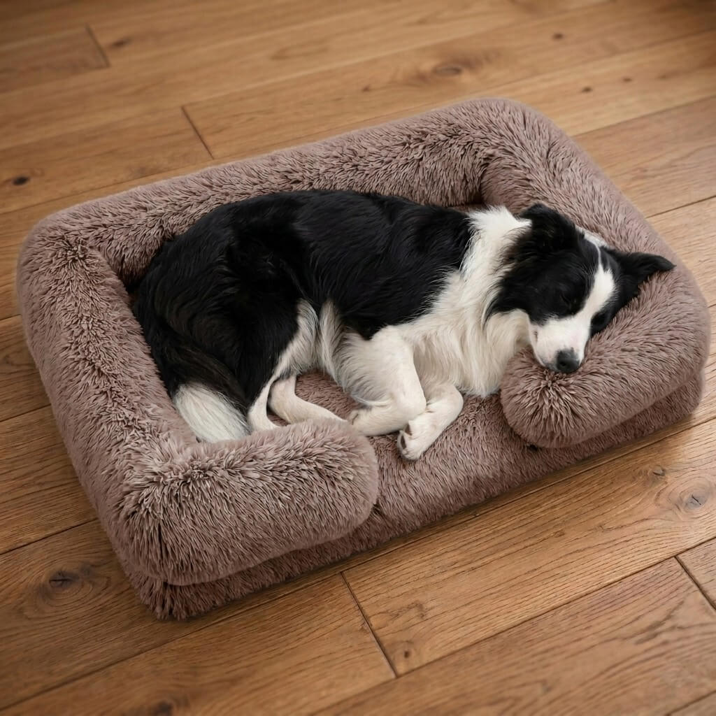 Orthopedic Dog Bed for Joint Relief | Bolster Foam Support