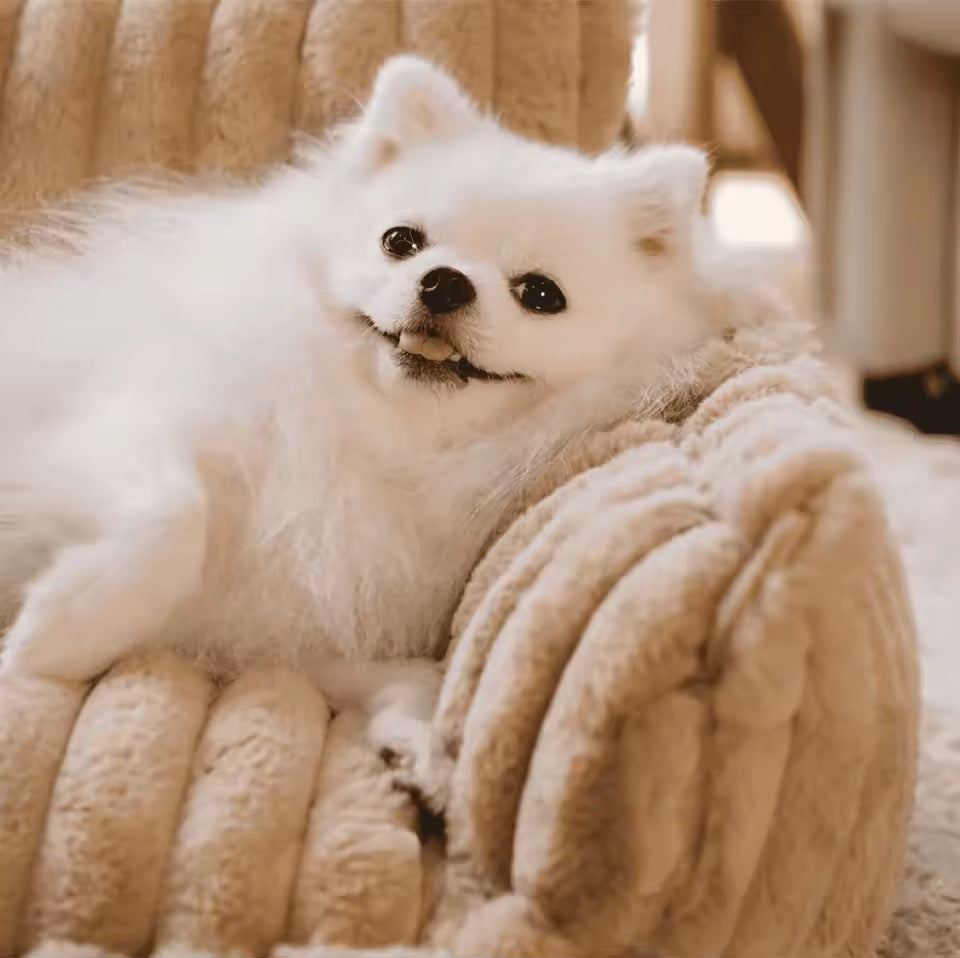 Orthopedic Dog Bed with Elevated Headrest