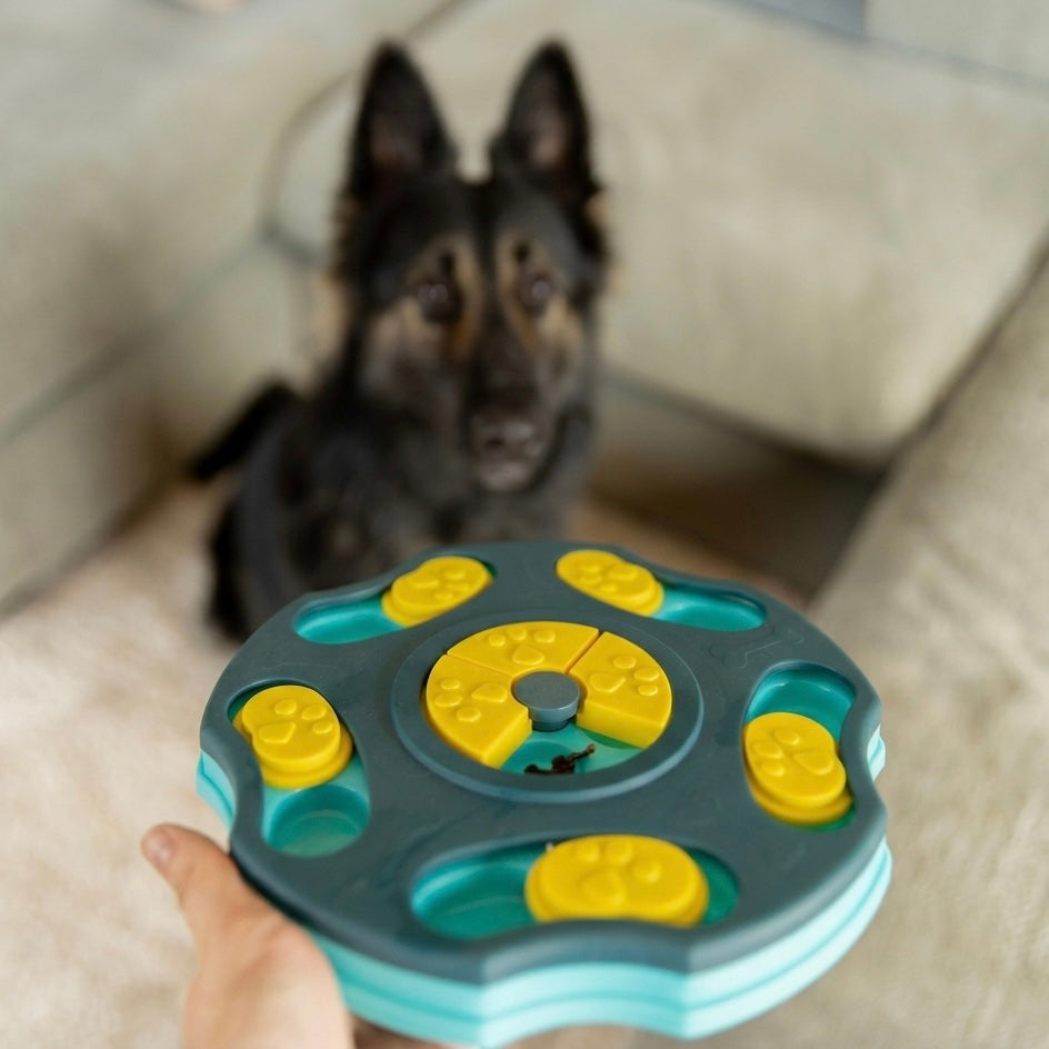 Beginner Dog Puzzle Toy for Mental Stimulation