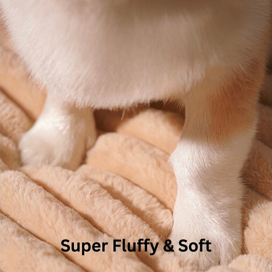 Memory Foam Dog Mat | Ergonomic Support & Removable Washable Cover