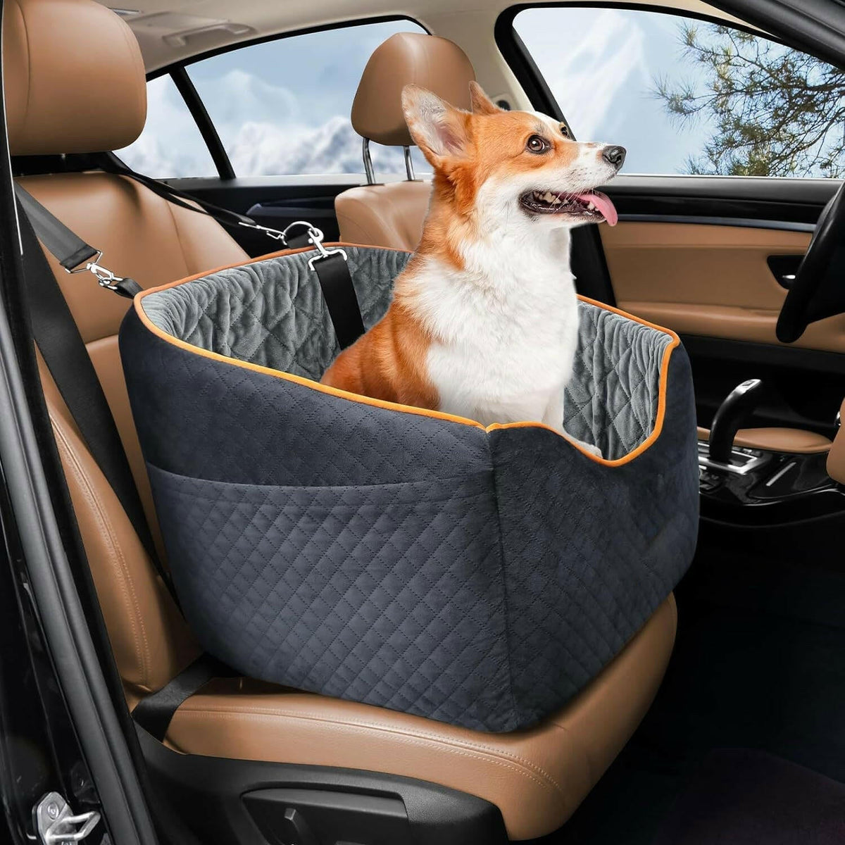 Elevated Dog Booster Car Seat | Safety Belt Attachment & Quilted
