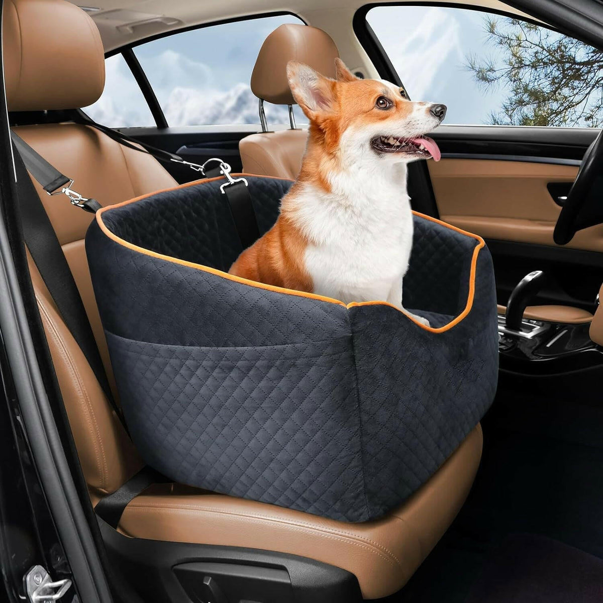 Elevated Dog Booster Car Seat | Safety Belt Attachment & Quilted