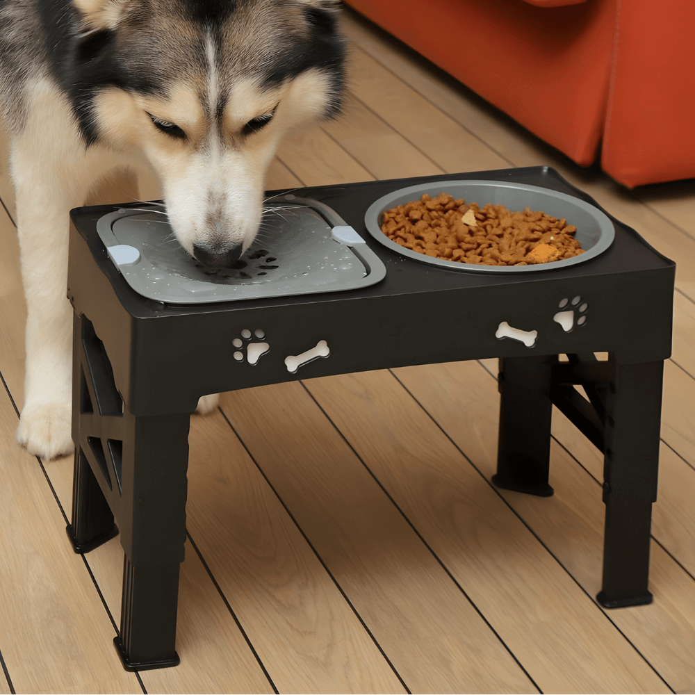 Elevated Dog Bowls That Ease Neck Strain