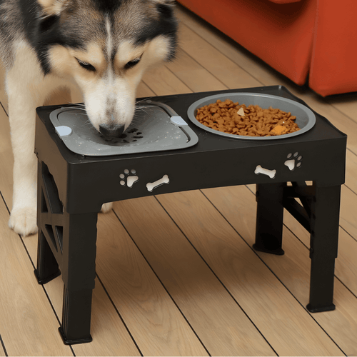 3-in-1 Elevated Dog Bowl Stand | Slow Feeder