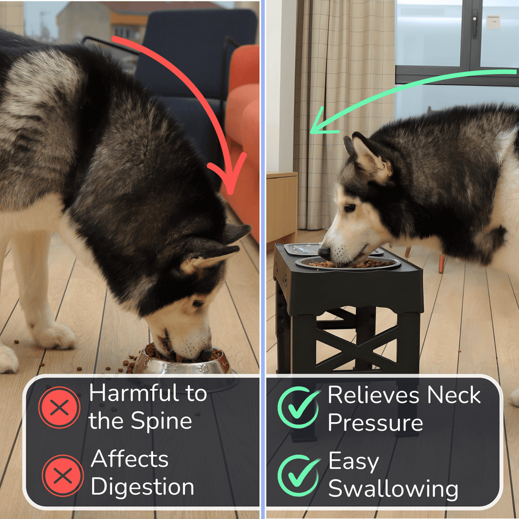 Elevated Dog Bowls That Ease Neck Strain