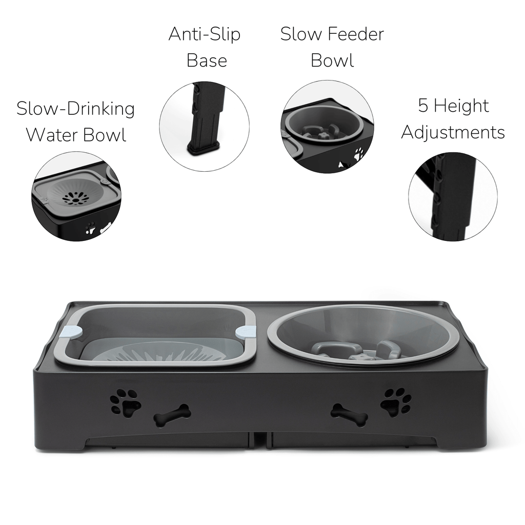 Elevated Dog Bowls That Ease Neck Strain