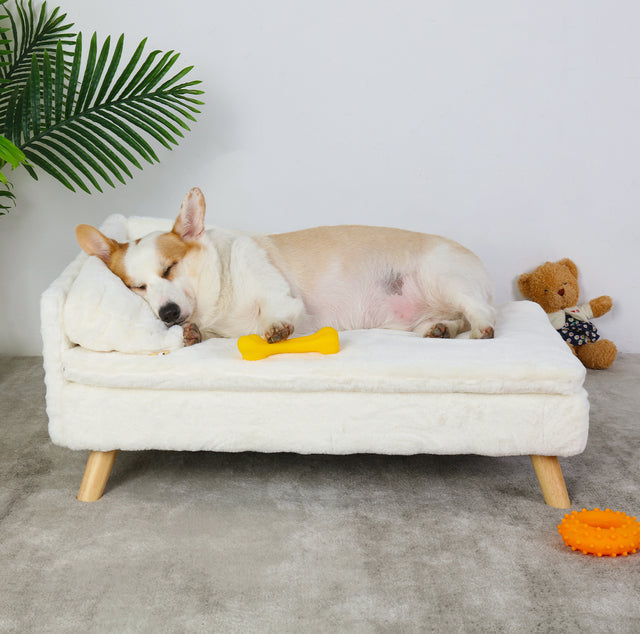 Elevated Pet Sofa Bed for Cats & Small Dogs