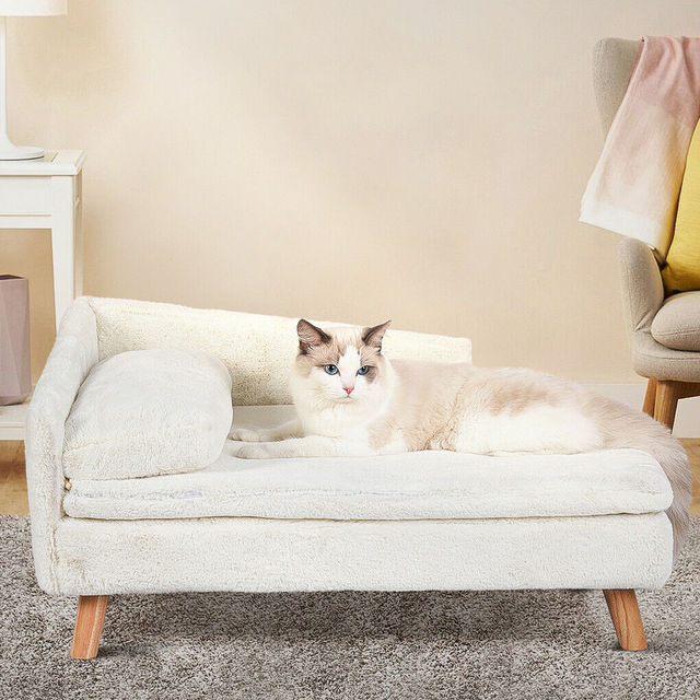 Elevated Pet Sofa Bed for Cats & Small Dogs