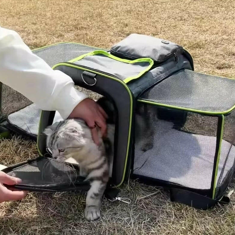 Expandable Pet Carrier Bag | Breathable Mesh Foldable Soft-Sided