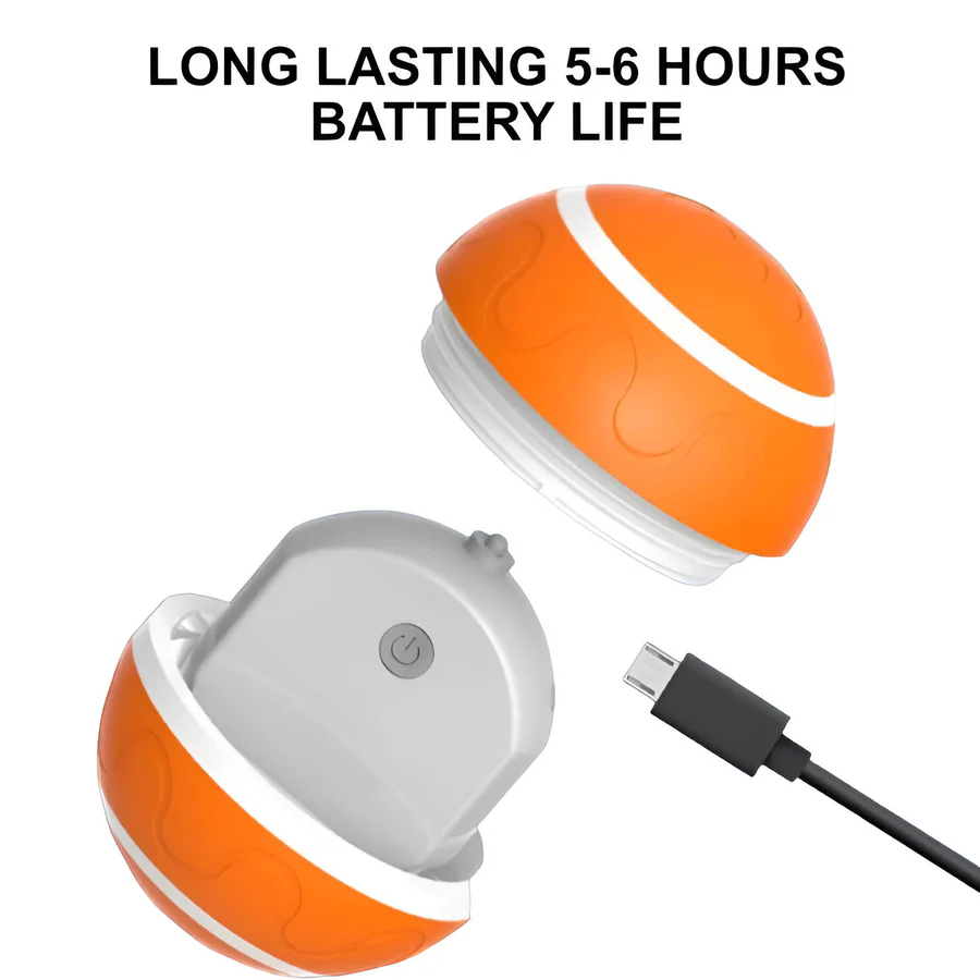 Motion-Activated Pet Ball with Remote & LED