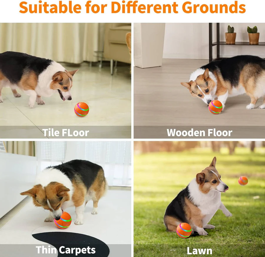 Motion-Activated Pet Ball with Remote & LED