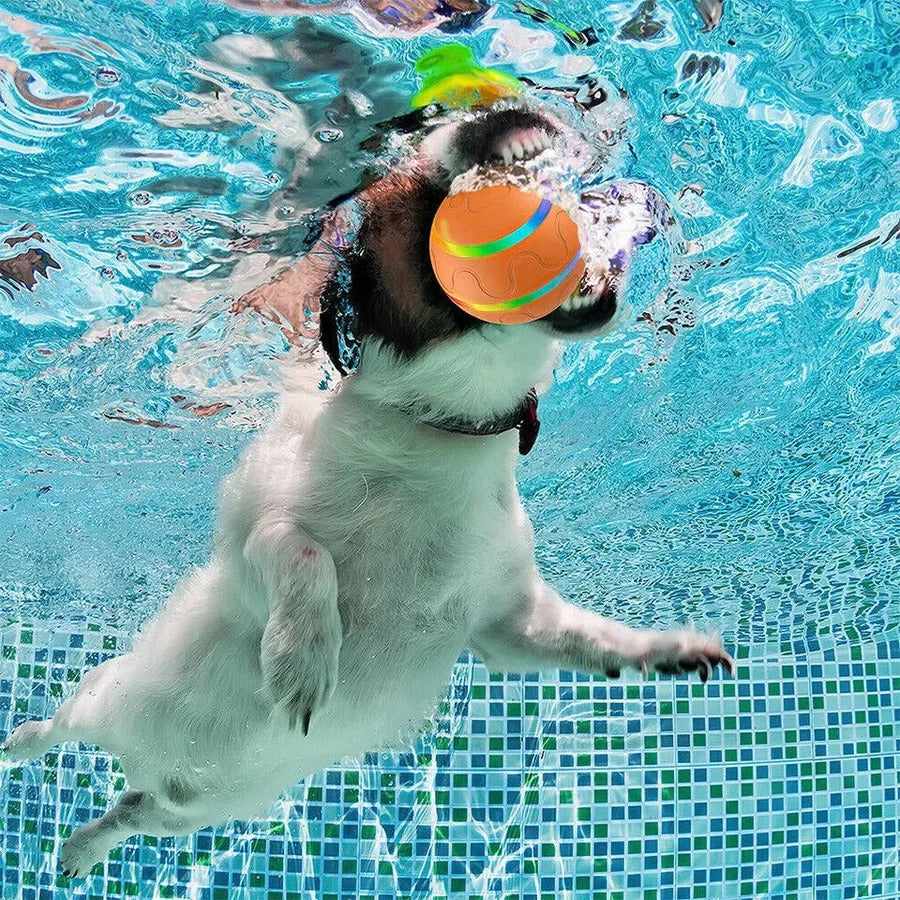 Motion-Activated Pet Ball with Remote & LED