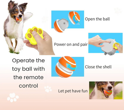 Motion-Activated Pet Ball with Remote & LED
