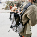 Ergonomic Dog Backpack Carrier | Breathable Mesh & Built-In Safety