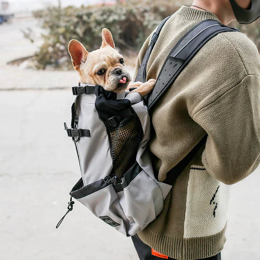 Ergonomic Dog Backpack Carrier | Breathable Mesh & Built-In Safety