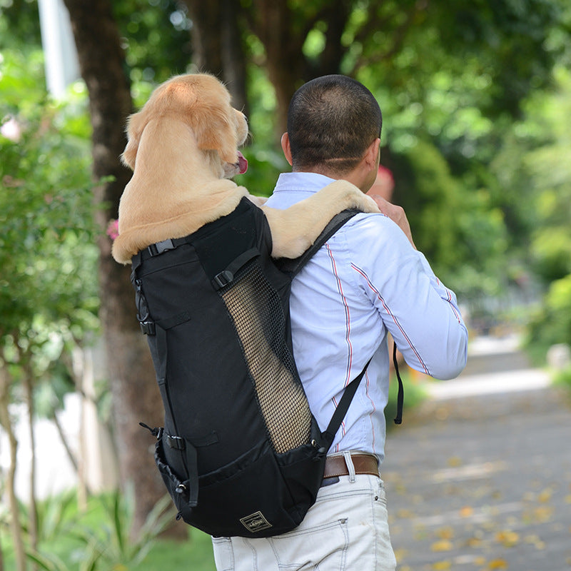 Ergonomic Dog Backpack Carrier | Breathable Mesh & Built-In Safety