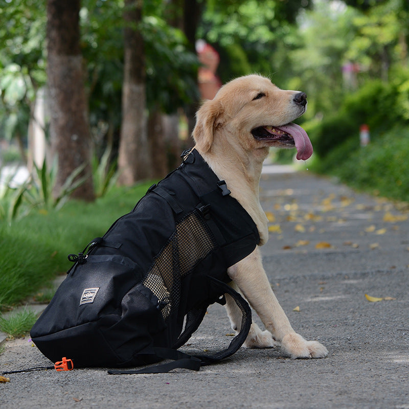 Ergonomic Dog Backpack Carrier | Breathable Mesh & Built-In Safety