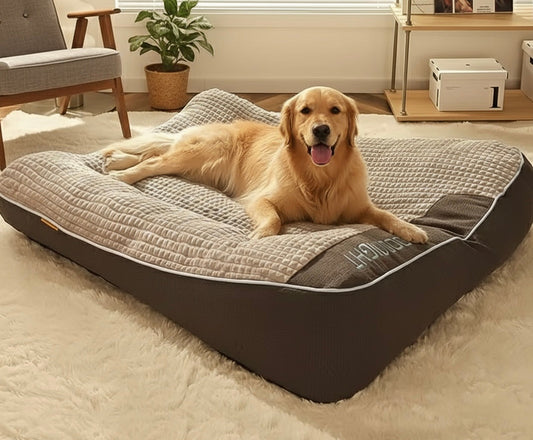 Giant Orthopedic Dog Bed | Plush XL XXL & 3XL Joint Support