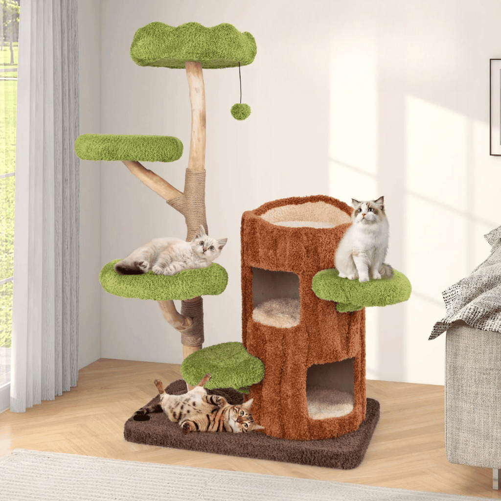 Multi-Level Cat Tree for Large Cats | Spacious Condos & Scratching