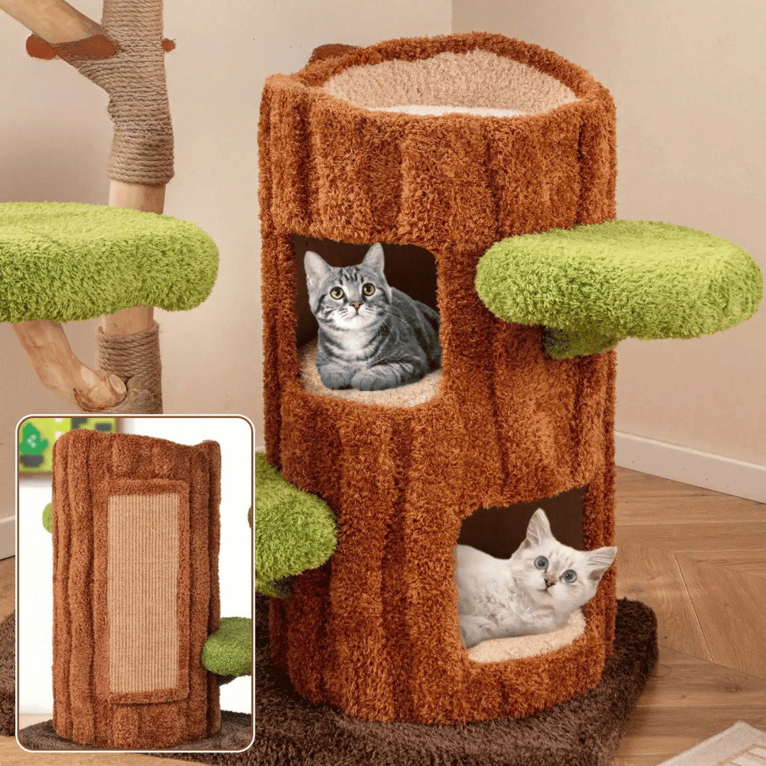 Multi-Level Cat Tree for Large Cats | Spacious Condos & Scratching