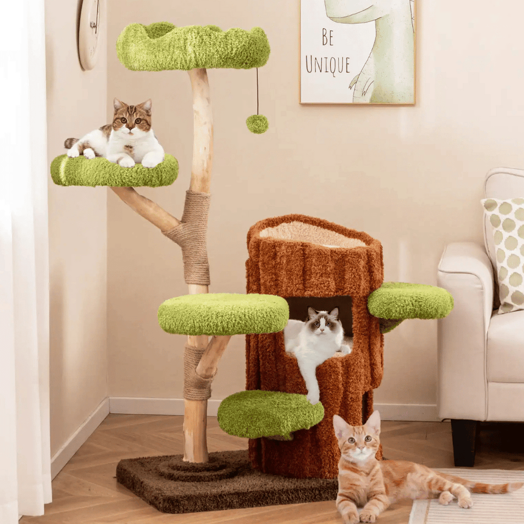 Multi-Level Cat Tree for Large Cats | Spacious Condos & Scratching