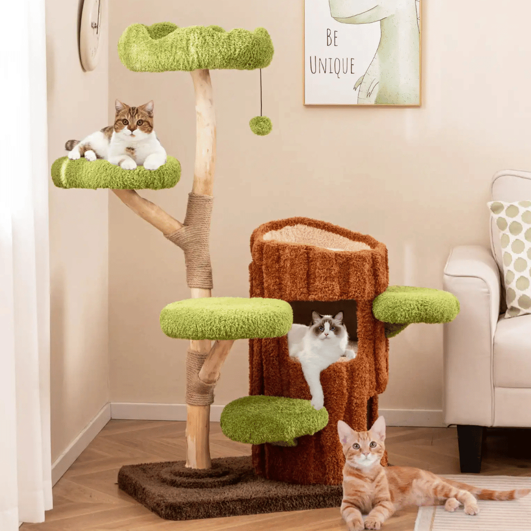 Multi-Level Cat Tree for Large Cats | Spacious Condos & Scratching