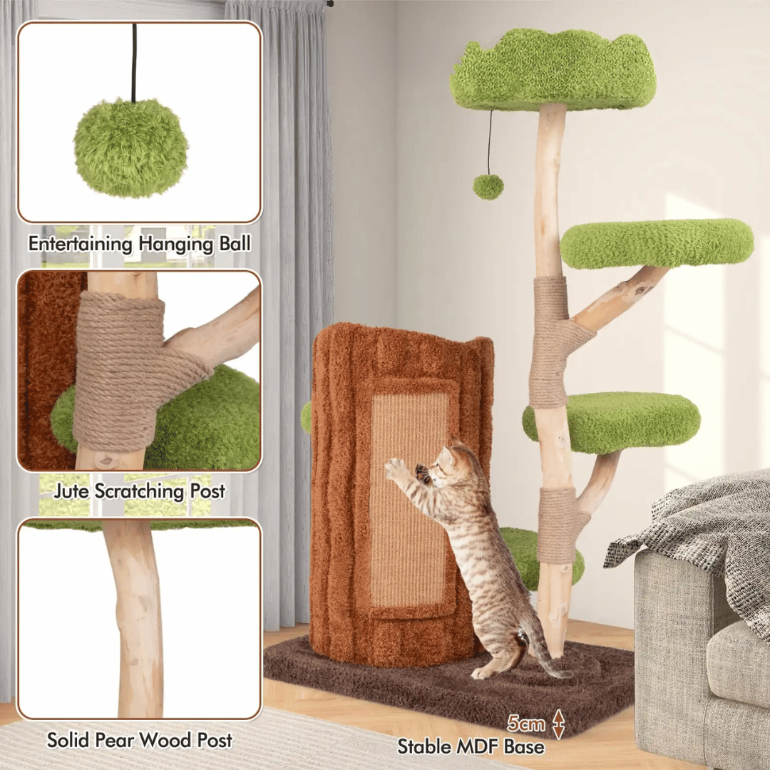Multi-Level Cat Tree for Large Cats | Spacious Condos & Scratching