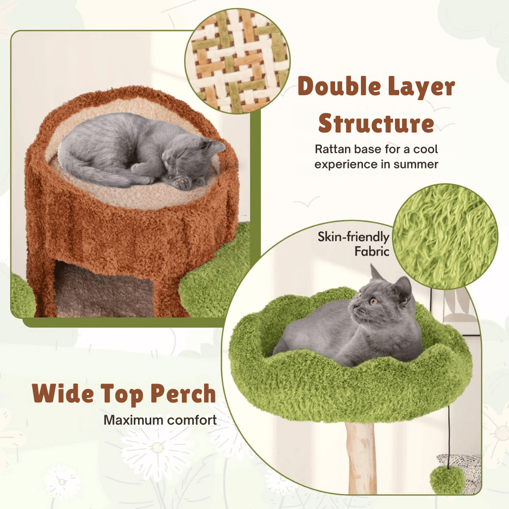Multi-Level Cat Tree for Large Cats | Spacious Condos & Scratching