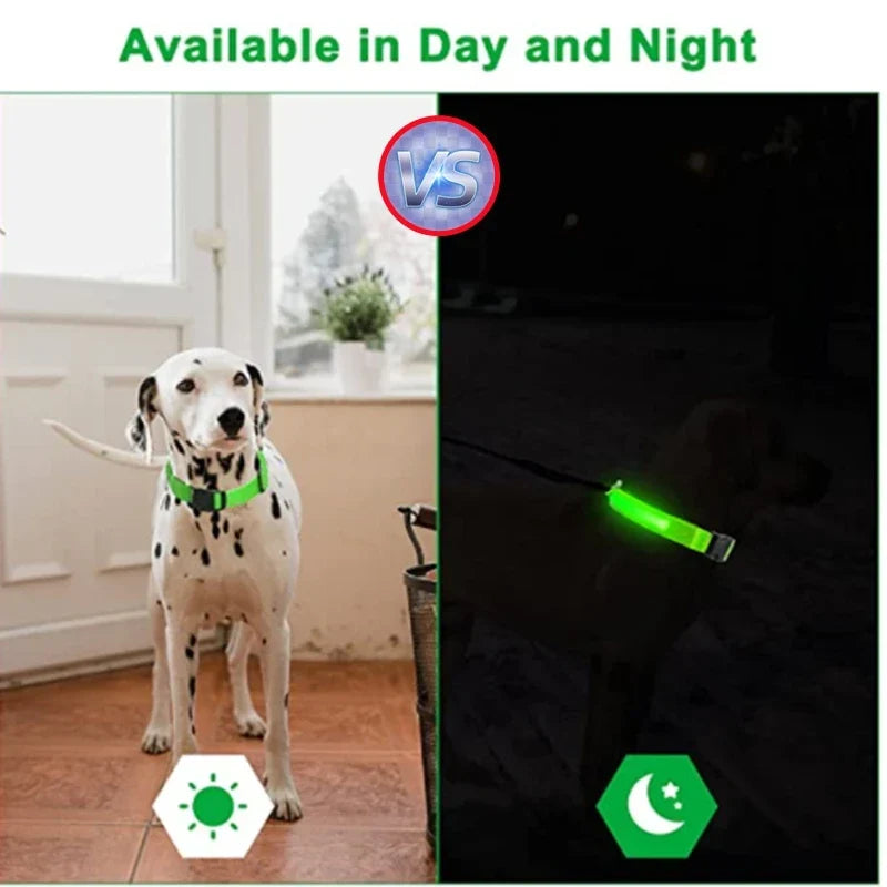 USB Rechargeable LED Dog Collar | Night Walk Visibility 3 Light Modes