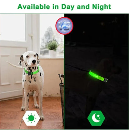 USB Rechargeable LED Dog Collar | Night Walk Visibility 3 Light Modes