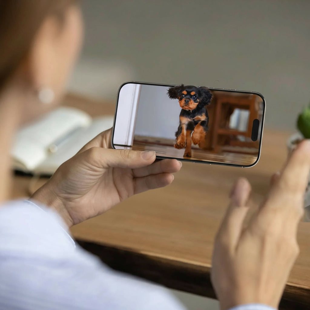 Smart Pet Feeder with Camera | 8L WiFi Two-Way Audio & App Meals