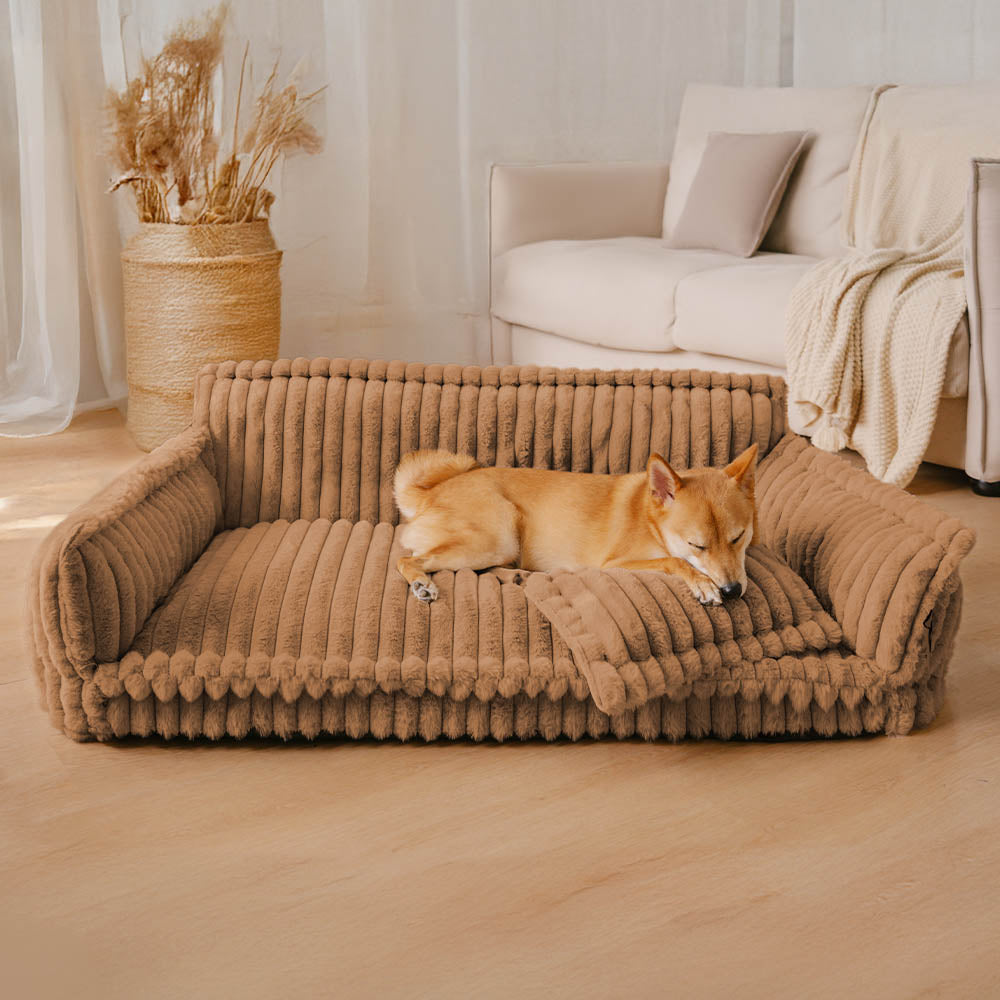 Orthopedic Dog Bed with Elevated Headrest