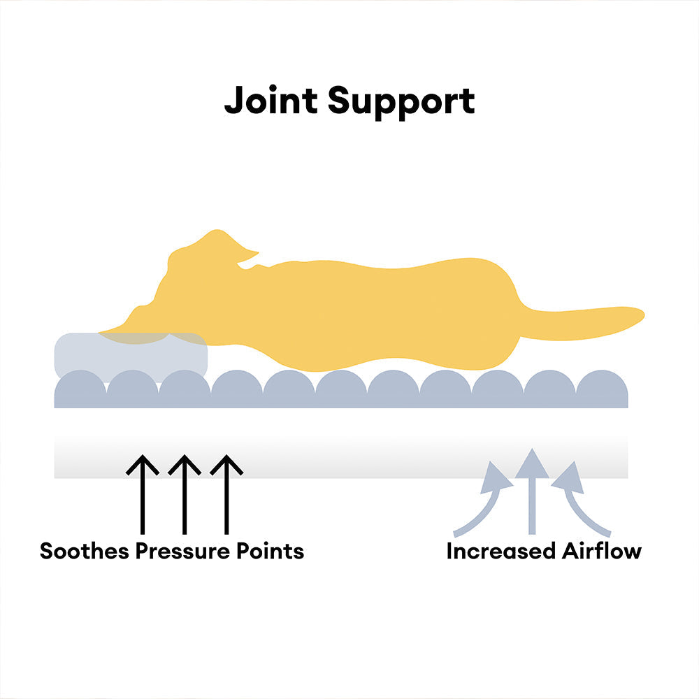 Orthopedic Dog Bed with Elevated Headrest