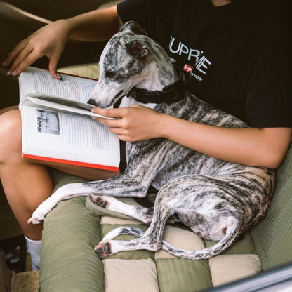 Large Dog Car Seat Bed | Waterproof Bolstered Travel Nest Anti-Slip