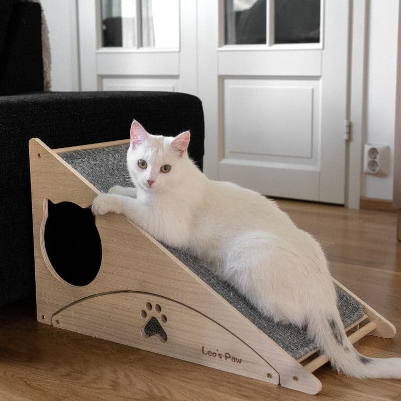 Cat Scratch and Play Ramp | 3-in-1 Climb Scratcher & Condo